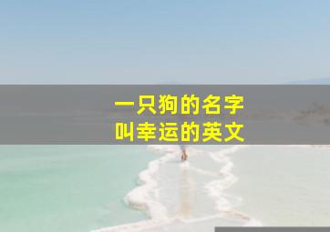 一只狗的名字叫幸运的英文