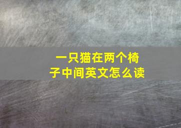 一只猫在两个椅子中间英文怎么读