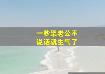 一吵架老公不说话就生气了