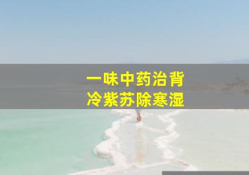 一味中药治背冷紫苏除寒湿