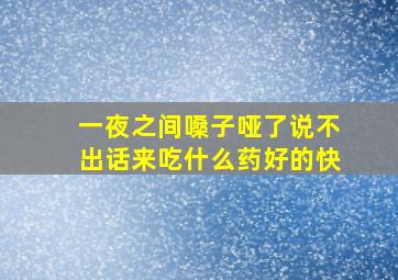 一夜之间嗓子哑了说不出话来吃什么药好的快