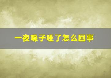 一夜嗓子哑了怎么回事