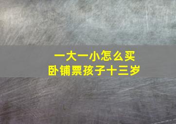 一大一小怎么买卧铺票孩子十三岁