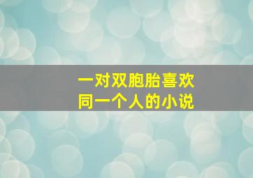 一对双胞胎喜欢同一个人的小说