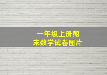 一年级上册期末数学试卷图片