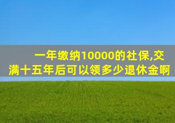 一年缴纳10000的社保,交满十五年后可以领多少退休金啊