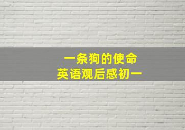 一条狗的使命英语观后感初一