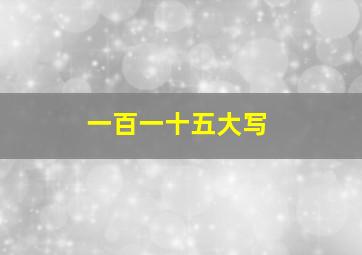 一百一十五大写