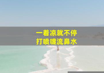 一着凉就不停打喷嚏流鼻水