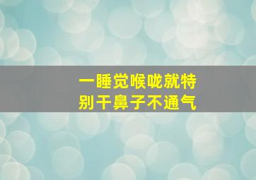 一睡觉喉咙就特别干鼻子不通气