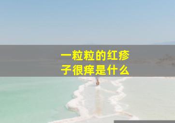 一粒粒的红疹子很痒是什么