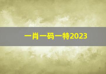 一肖一码一特2023