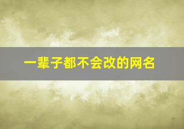 一辈子都不会改的网名