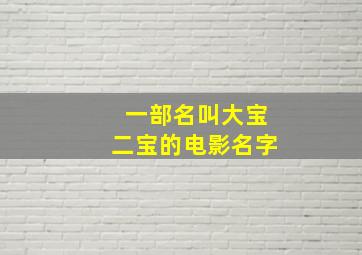 一部名叫大宝二宝的电影名字