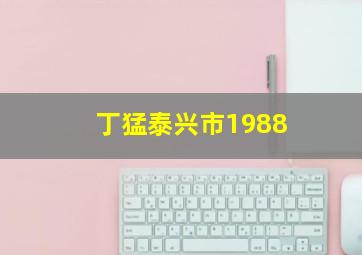 丁猛泰兴市1988