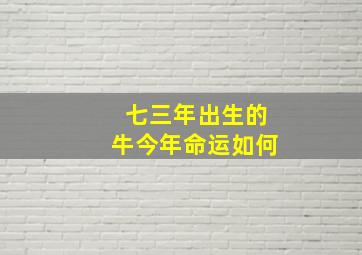 七三年出生的牛今年命运如何