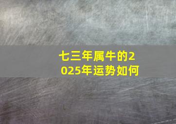 七三年属牛的2025年运势如何