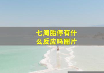 七周胎停有什么反应吗图片