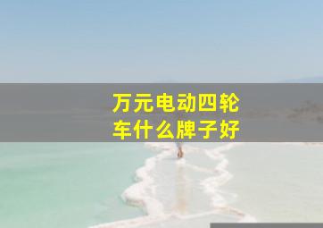 万元电动四轮车什么牌子好