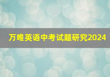 万唯英语中考试题研究2024