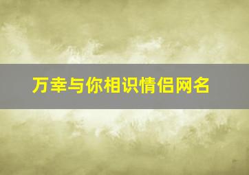 万幸与你相识情侣网名