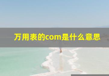 万用表的com是什么意思