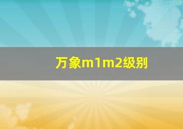 万象m1m2级别