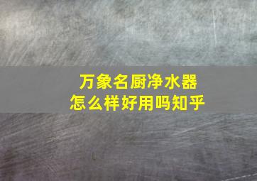 万象名厨净水器怎么样好用吗知乎