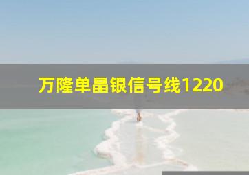 万隆单晶银信号线1220