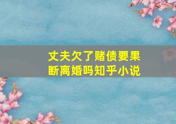 丈夫欠了赌债要果断离婚吗知乎小说