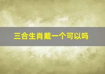 三合生肖戴一个可以吗