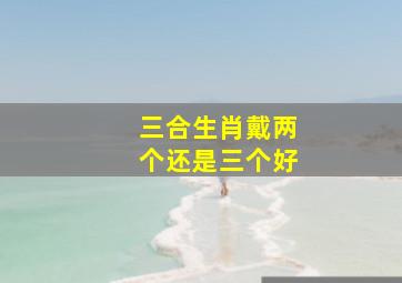 三合生肖戴两个还是三个好