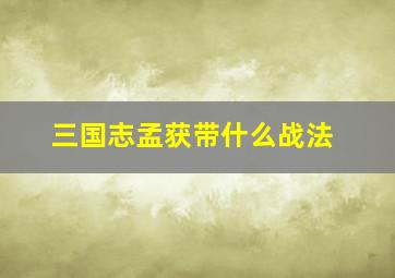 三国志孟获带什么战法