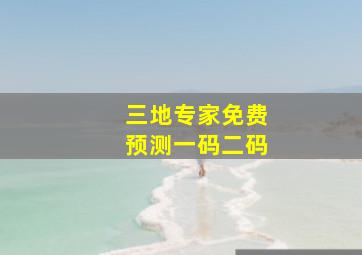 三地专家免费预测一码二码