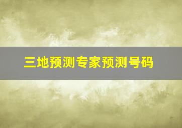 三地预测专家预测号码