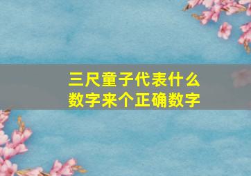 三尺童子代表什么数字来个正确数字