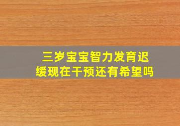 三岁宝宝智力发育迟缓现在干预还有希望吗