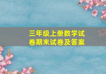 三年级上册数学试卷期末试卷及答案