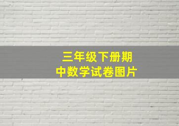 三年级下册期中数学试卷图片