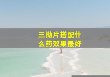 三拗片搭配什么药效果最好