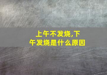 上午不发烧,下午发烧是什么原因