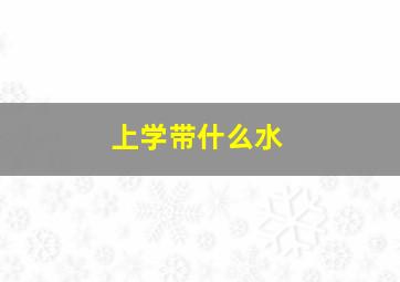 上学带什么水