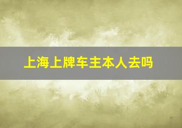 上海上牌车主本人去吗