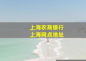 上海农商银行上海网点地址