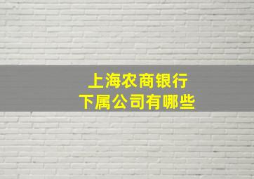 上海农商银行下属公司有哪些