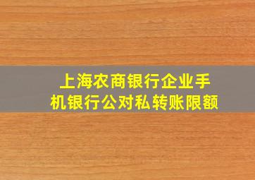 上海农商银行企业手机银行公对私转账限额