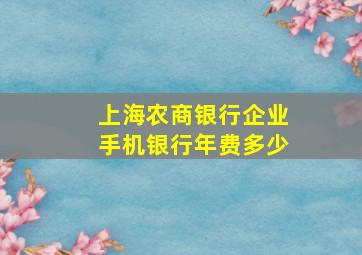 上海农商银行企业手机银行年费多少