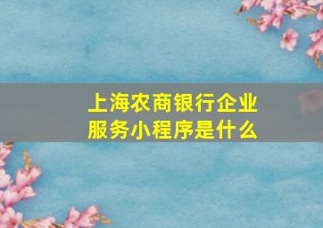 上海农商银行企业服务小程序是什么