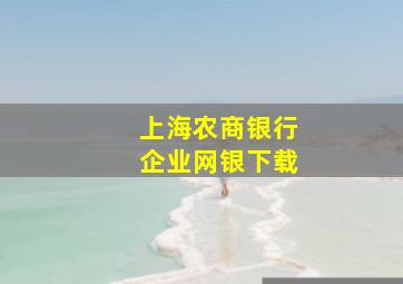 上海农商银行企业网银下载