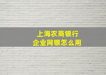 上海农商银行企业网银怎么用